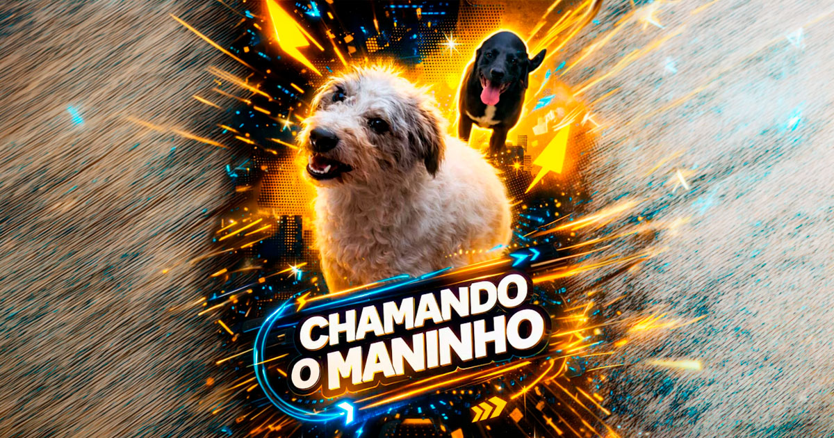 CHAMANDO O MANINHO