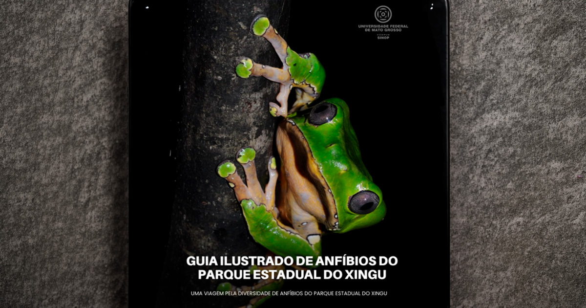 Acadêmico da UFMT cria guia de anfíbios do Parque do Xingu