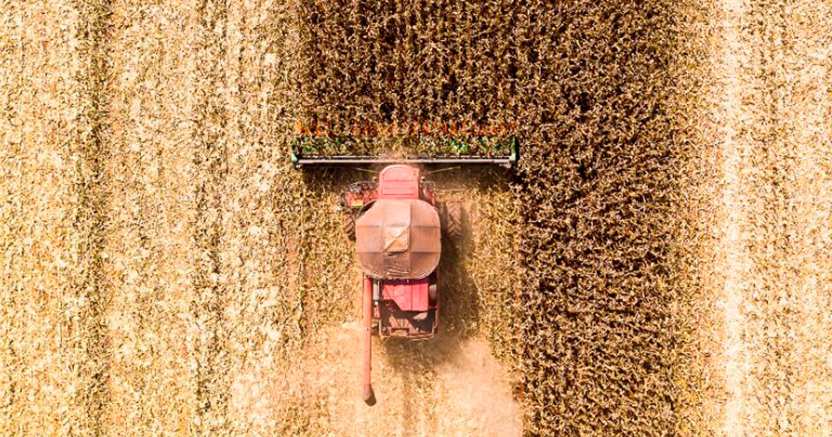 Mato Grosso exporta US$ 2,1 bilhões em setembro para 115 países