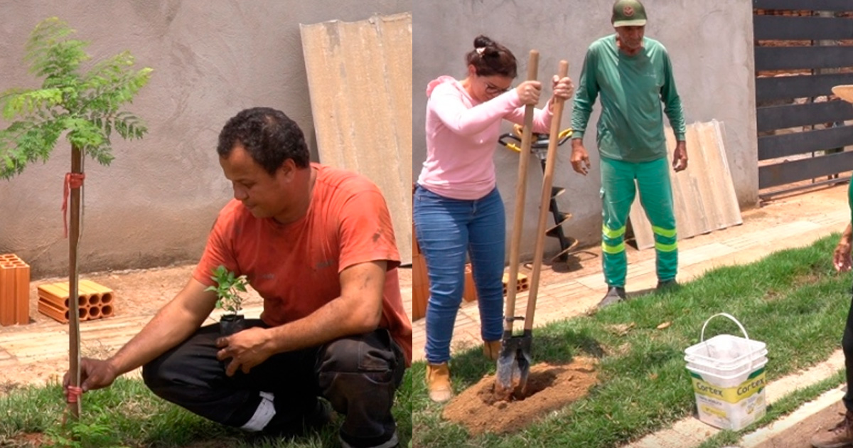 Cultiva Sinop realiza primeiro plantio e leva orientação técnica diretamente à casa dos moradores