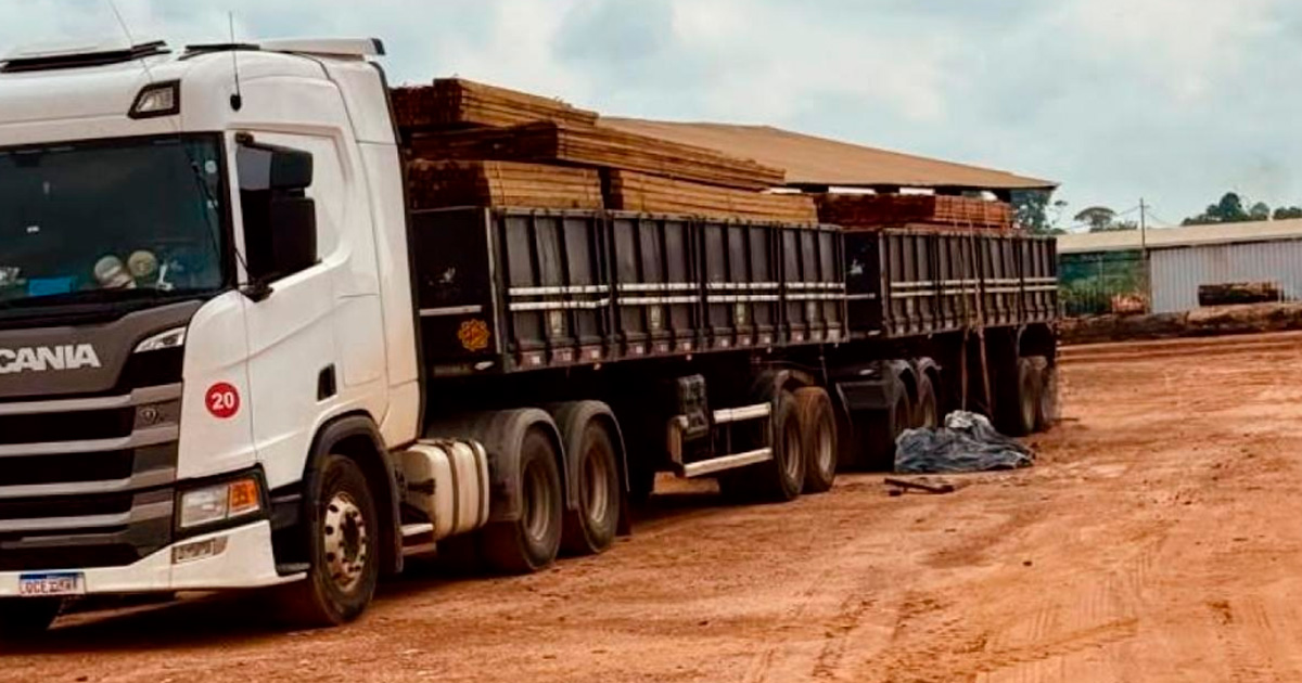 Instituto estima prejuízo de R$ 60 milhões ao setor de base florestal com falha em sistema
