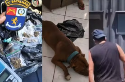 Pitbull solto na rua leva policiais a esconderijo de drogas e tutor é preso em Cuiabá